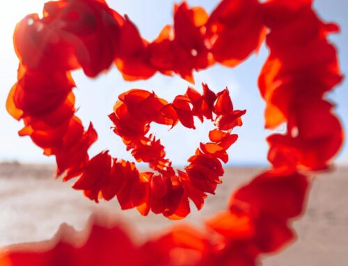 Valentine’s Day: Love It, Hate It, or Survive It?